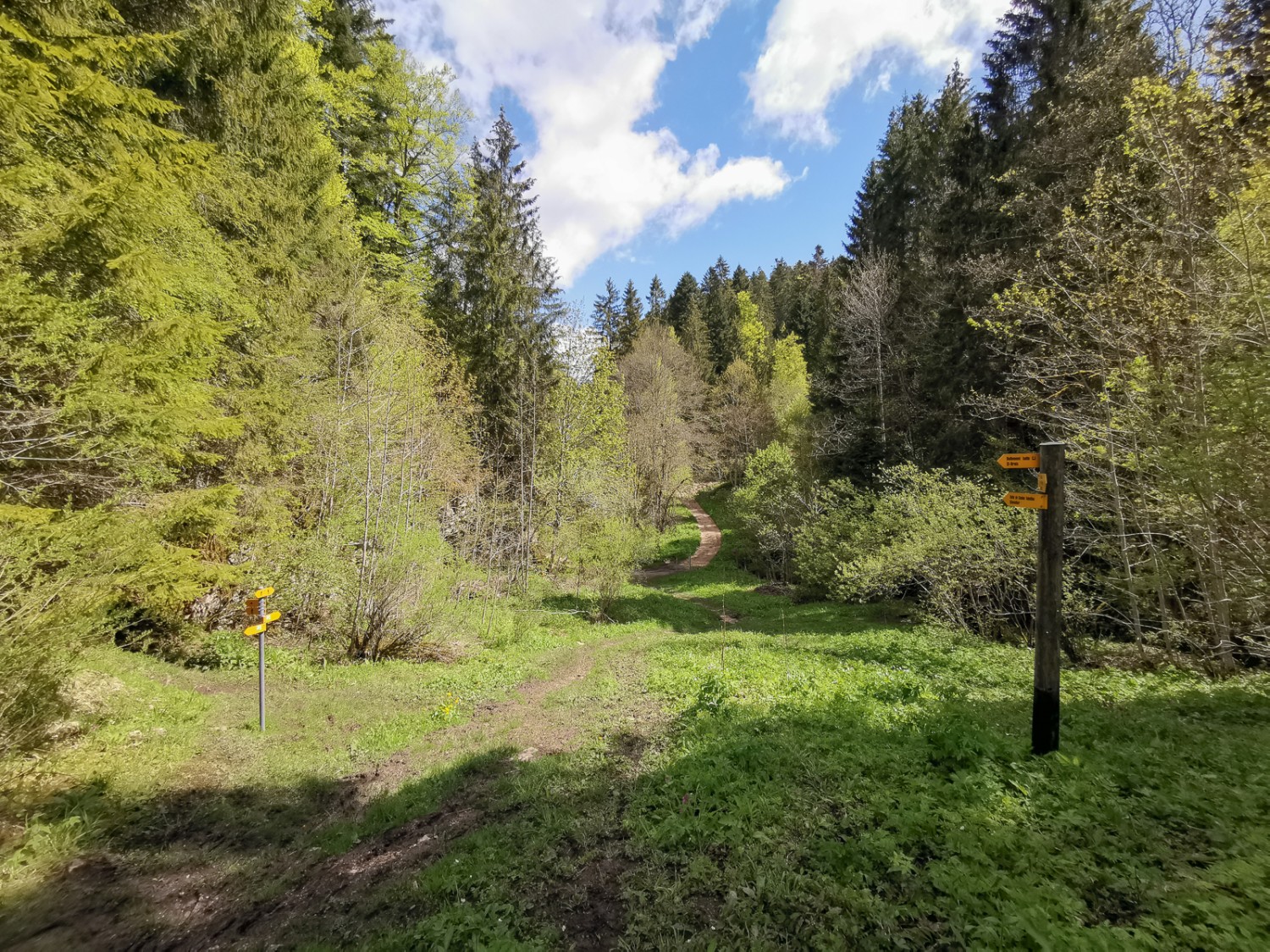 Si l’on a assez marché, on peut monter dans le train à l’arrêt de Bollement, peu avant l’entrée dans la Combe Tabeillon. Photo: Evelyne Zaugg