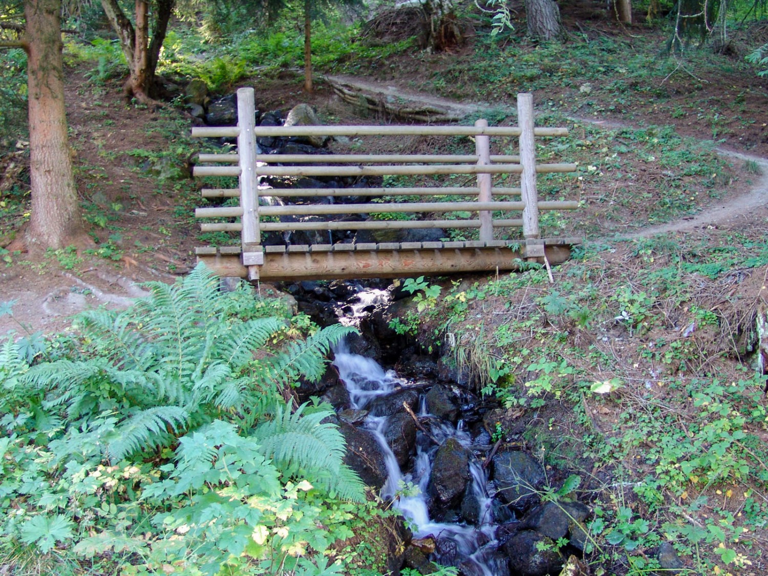 Le ruisseau qui passe juste à côté donne de l'énergie pour la Scie. Photo: Stéphane Cuennet