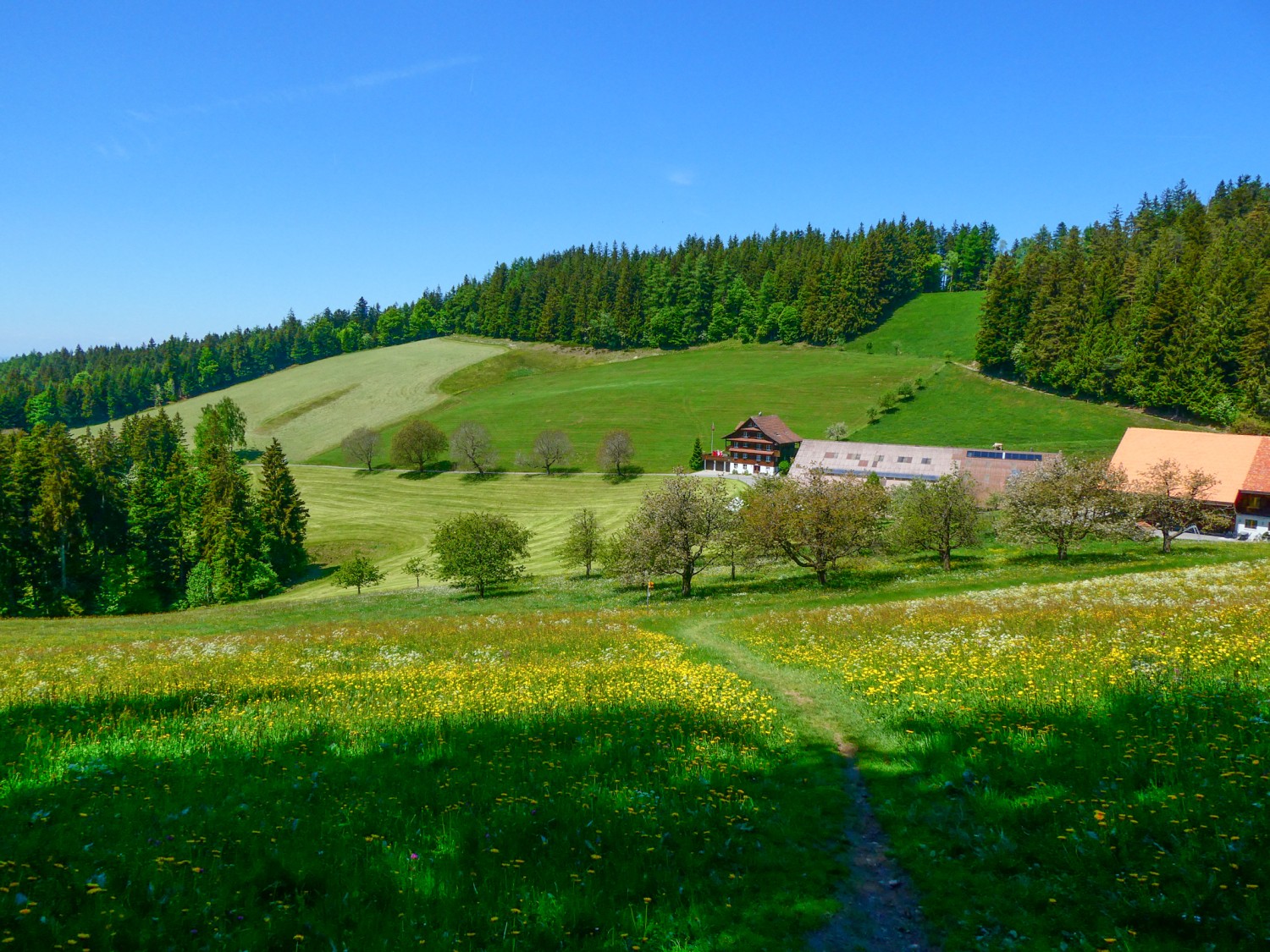 Malerische Frühlingslandschaft bei Hintertann. Bild: Rémy Kappeler