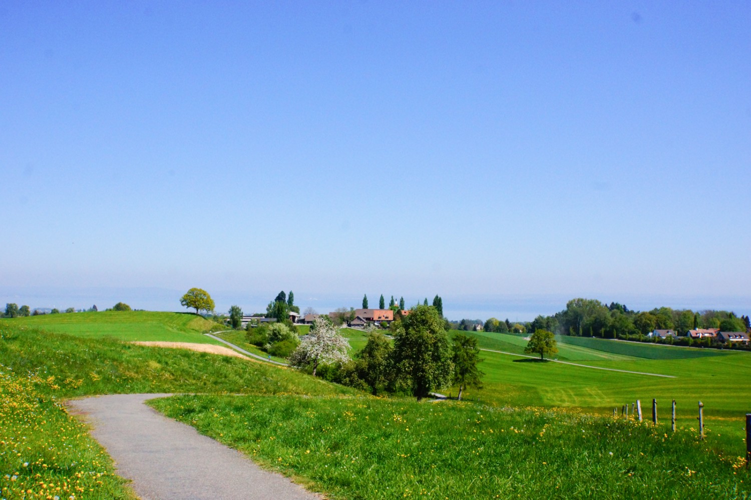 Unterwegs geniesst man immer wieder die Aussicht auf den Bodensee, wie hier kurz vor dem Gutsbetrieb Schloss Watt. 