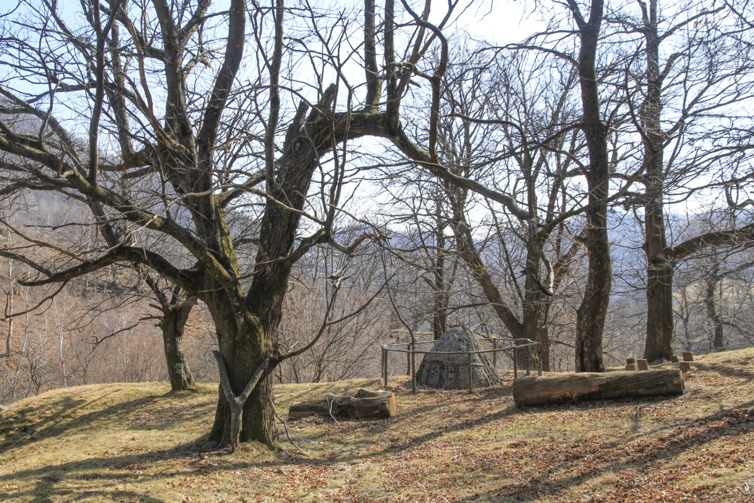 La carbonaia: dal legno del castagno veniva ricavato anche il carbone. Foto: Elsbeth Flüeler