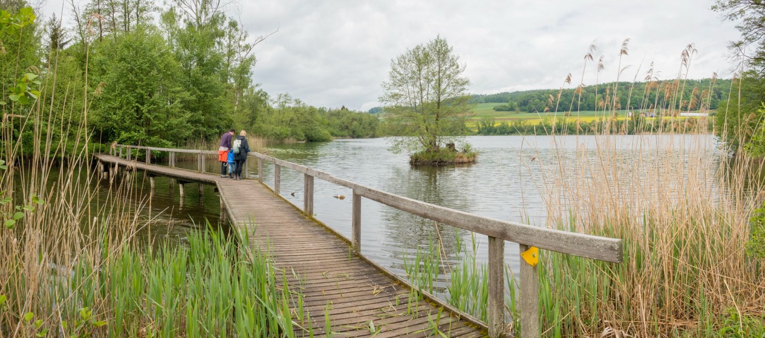 Idyllisch: der Holzsteg am Hüttwiilersee