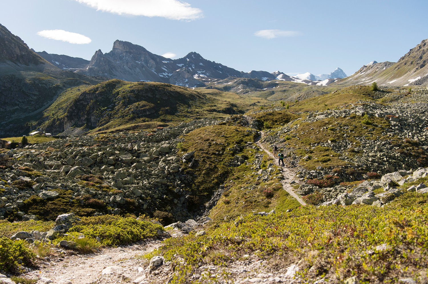 Le plateau séparant l’Hôtel Weisshorn et le Toûno est tapissé d’une végétation luxuriante.