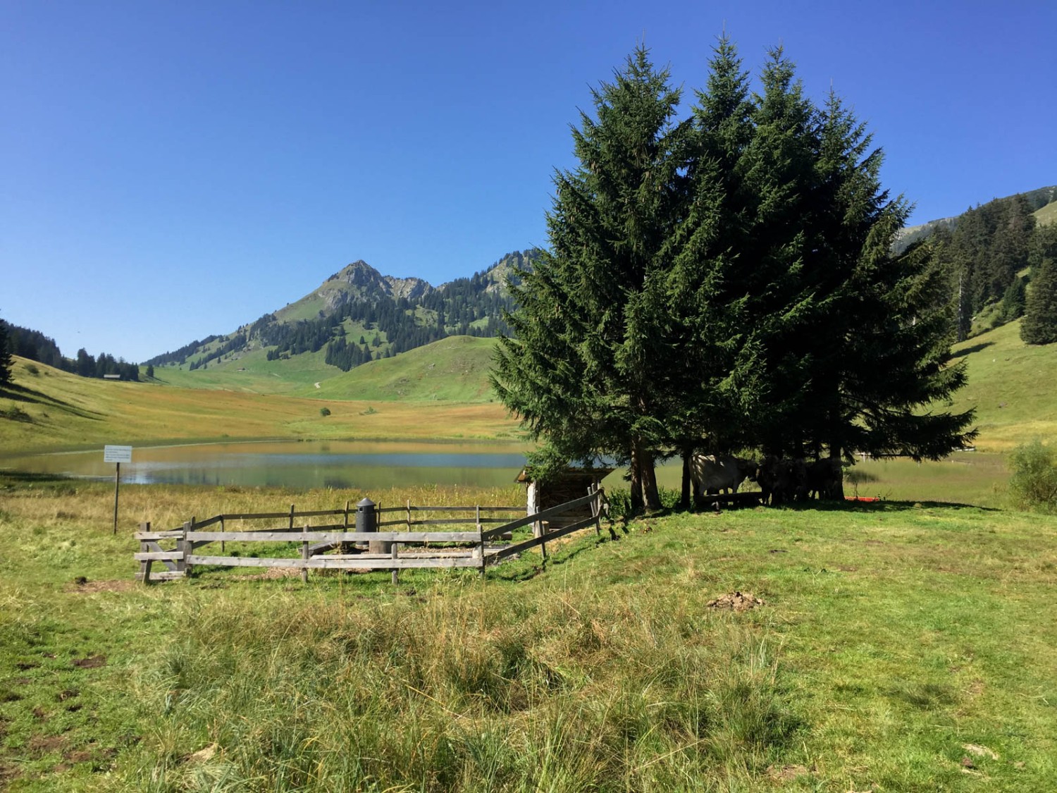 Le Gräppelensee est idéal pour se reposer longuement, nager et pique-niquer sur les aires de grillades clôturées. Photo: Vera In-Albon