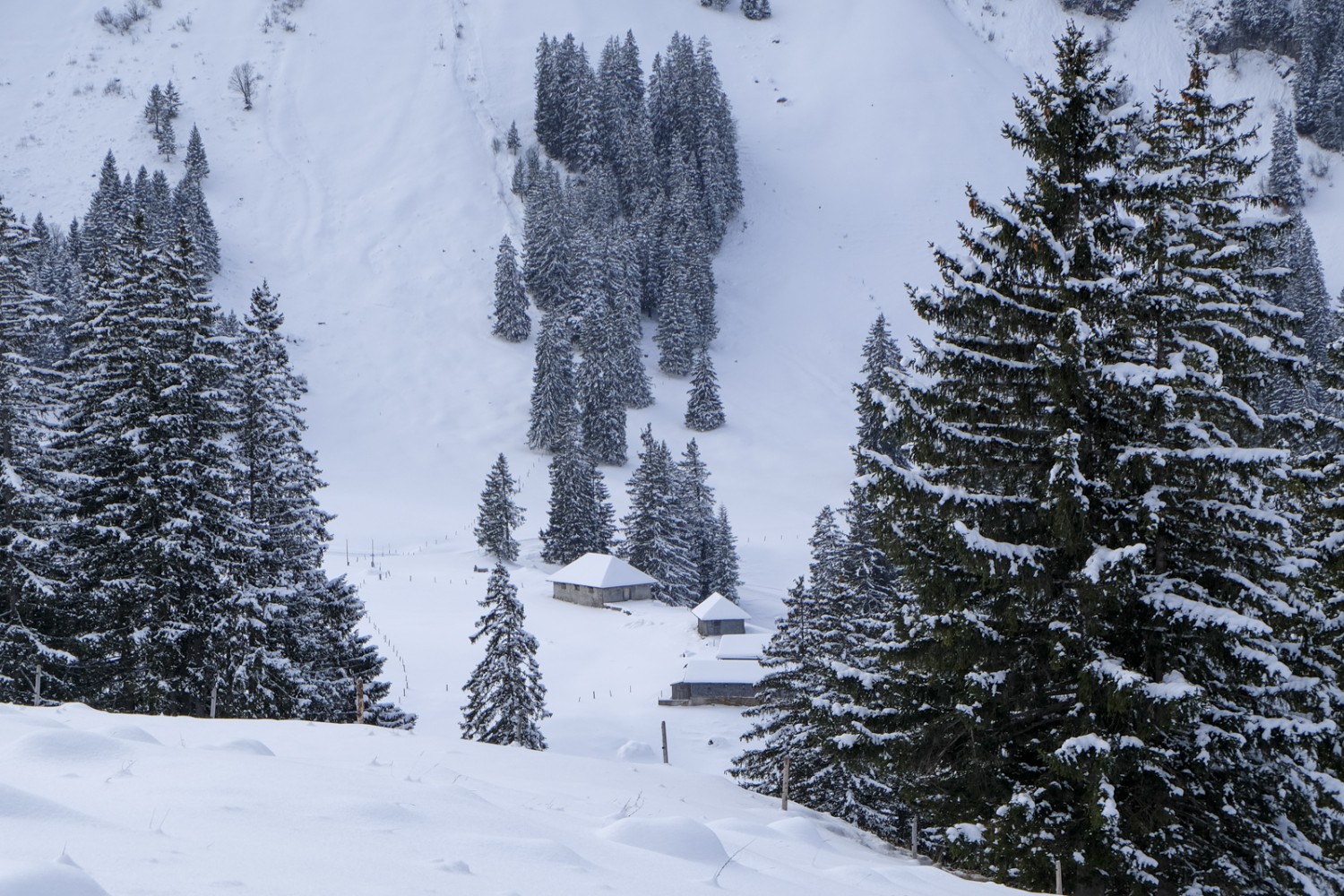 Die winterliche Dürrenbodenalp und die Hütten der Unteren Rone. Bild: Elsbeth Flüeler