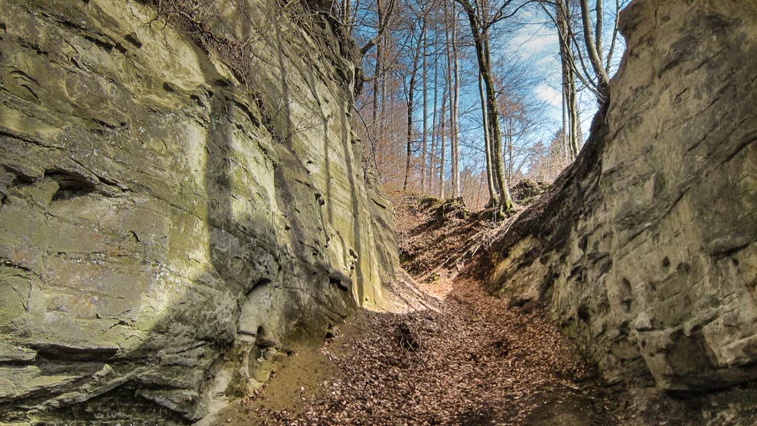 Eindrückliche Leuenhohle: der Hohlweg wurde im Mittelalter von Hand in den Sandstein gehauen. Er war Teil der ehemaligen Landstrasse nach Luzern. Bild: Gerhard Eichinger