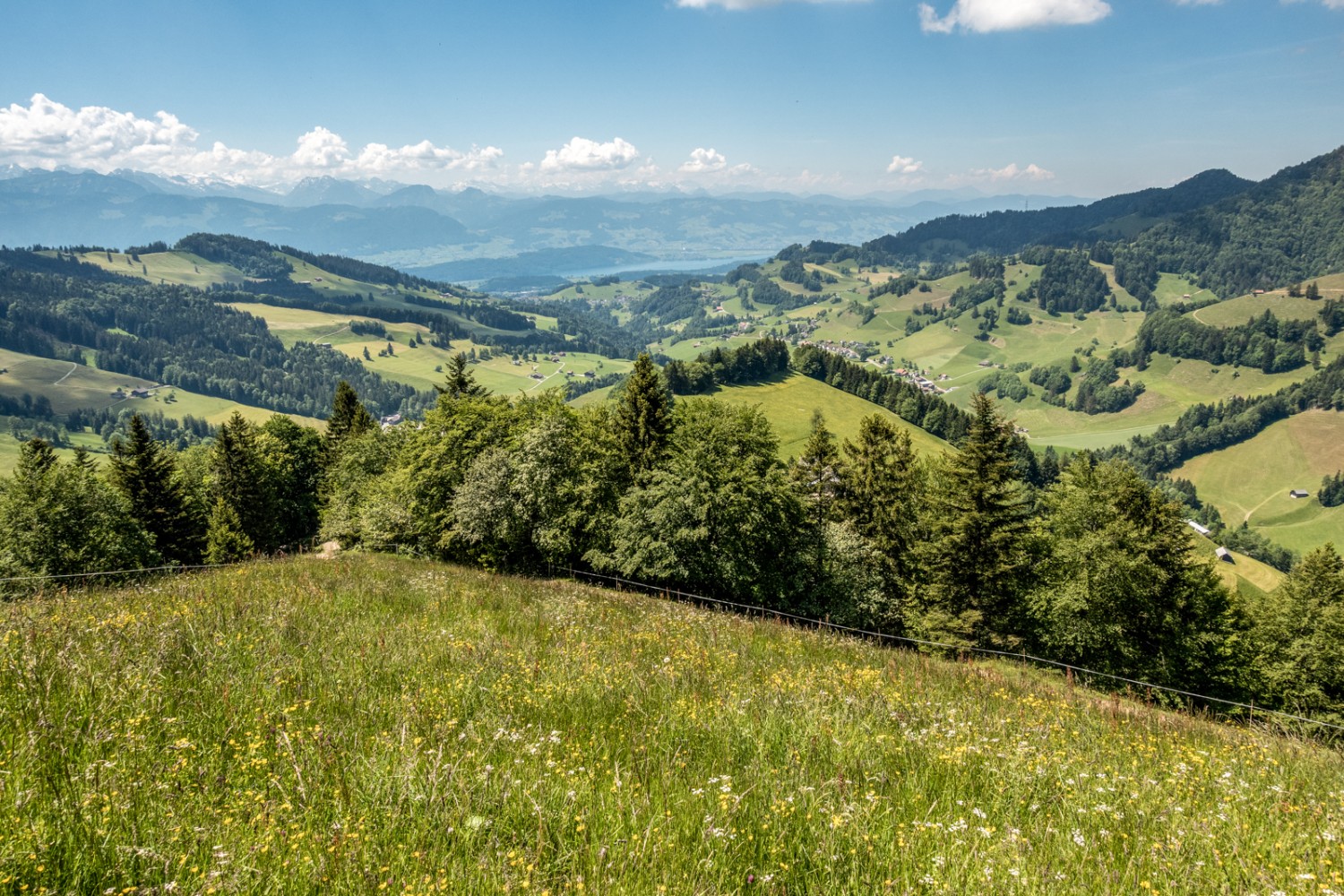 Un coup d’œil en arrière, direction le lac de Zurich. Photo: Fredy Joss