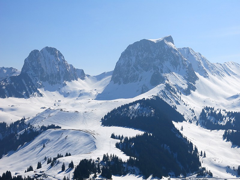 Blick auf die Geschwister Nünenen und Gantrisch. Bild: Marina Bolzli