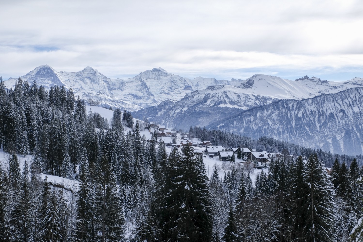 Les maisons de Waldegg, le but de la randonnée. Photo: Elsbeth Flüeler