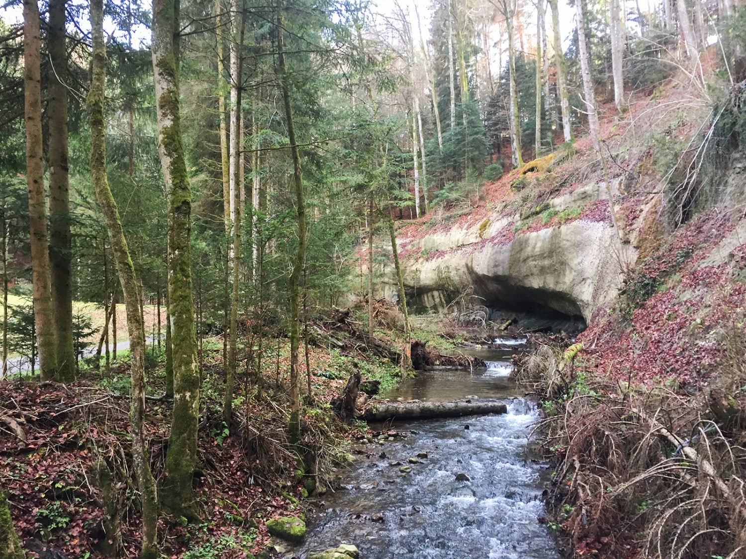 Sandsteinfelsen entlang des Scherlibachs.