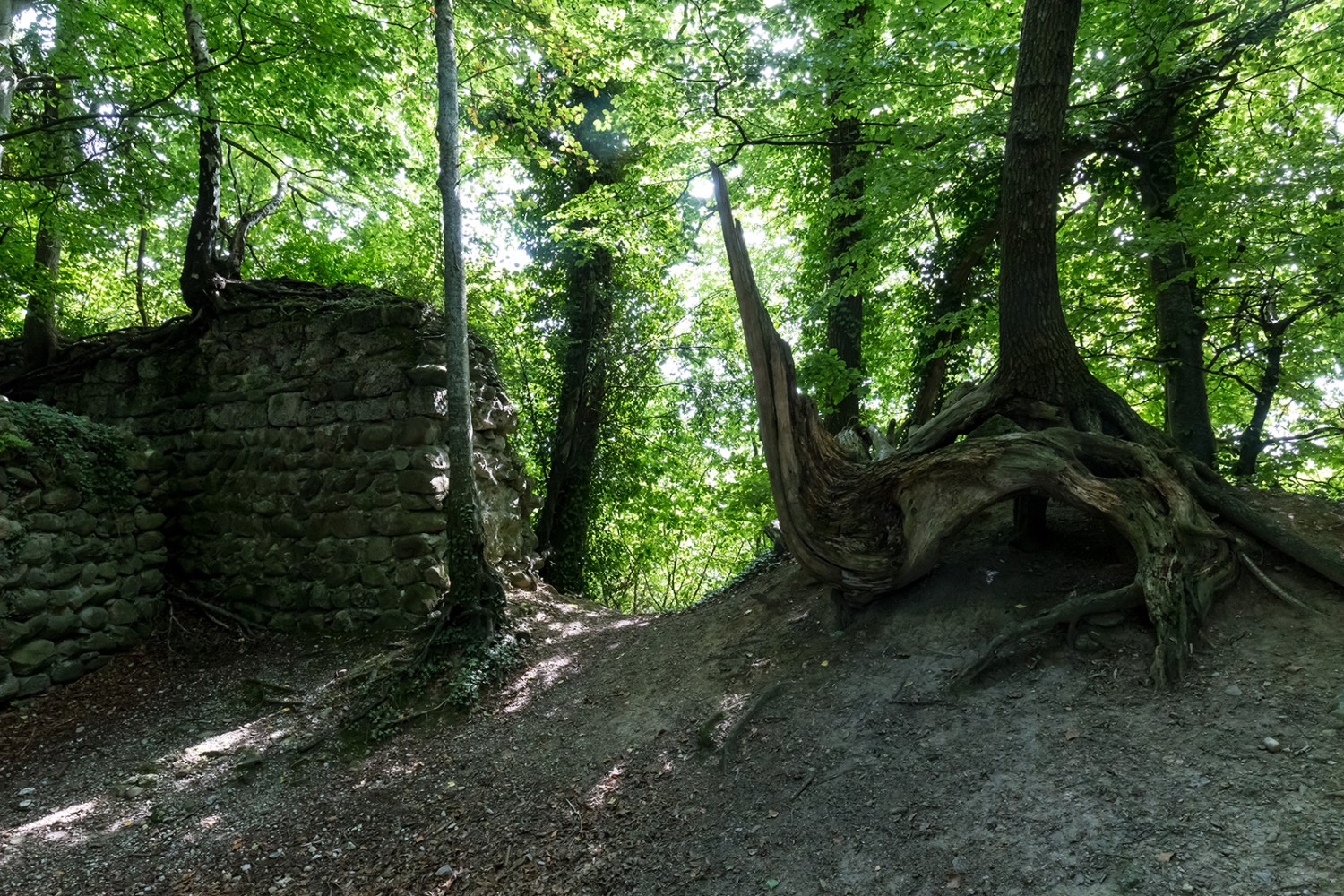 Nur noch ein paar Mauerreste: die Ruine Heuberg.