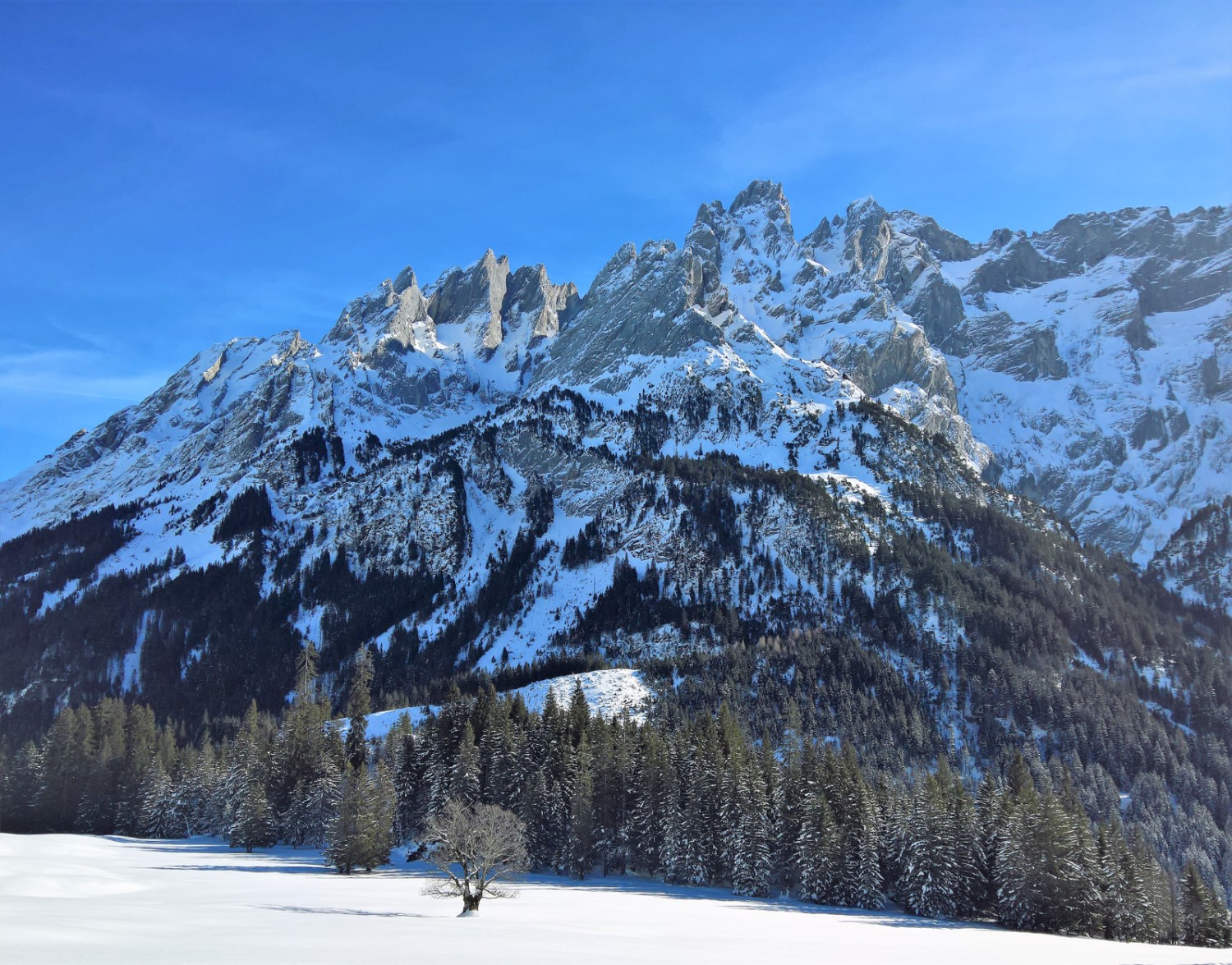 Die Engelhörner scheinen das Tal zu bewachen. Bild: Andreas Staeger
