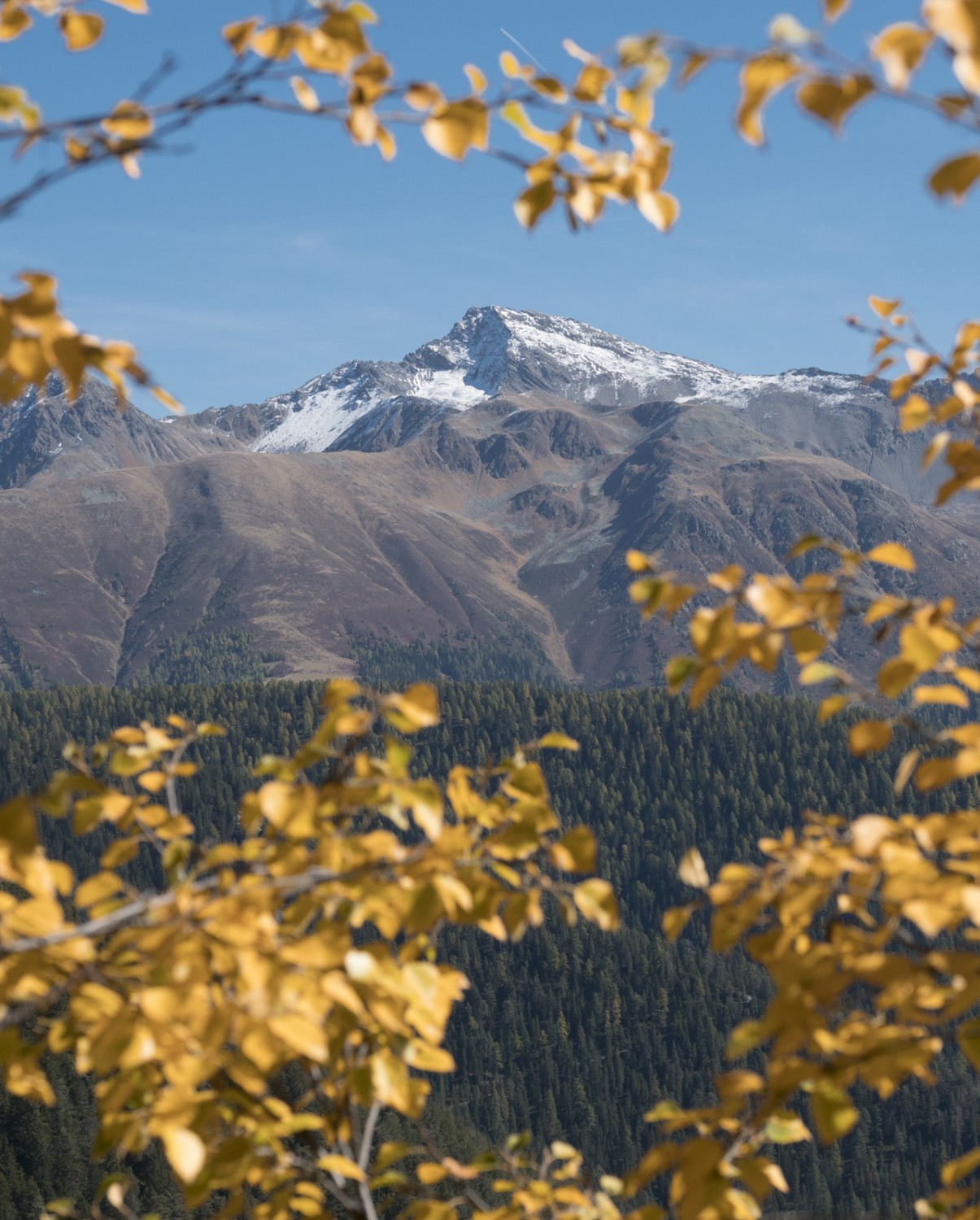 Das Älplihorn oberhalb von Davos Monstein.