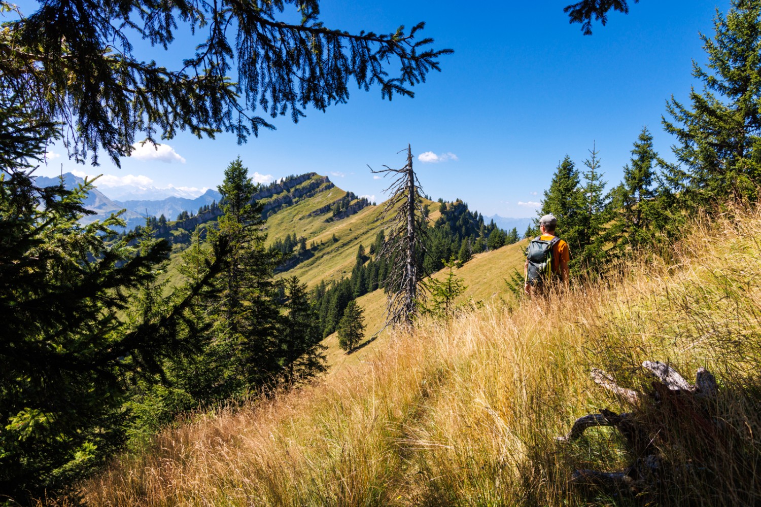 Le chemin suit toujours l’arête jusqu’au point le plus élevé, visible au loin. Photo: Severin Nowacki