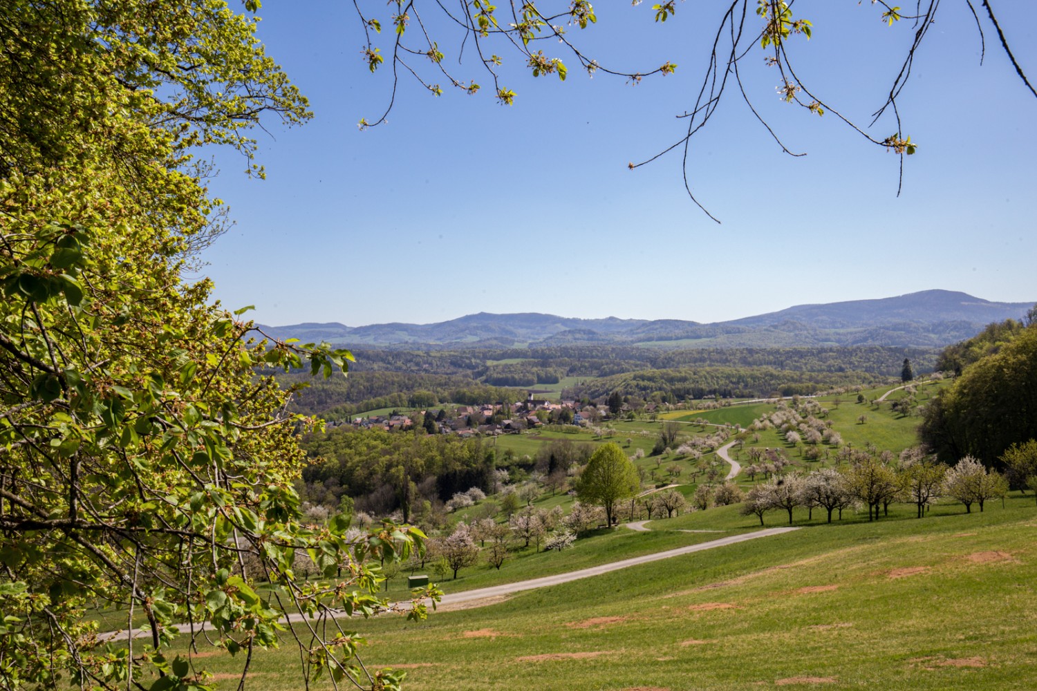 Vue sur la campagne autour des villages de Büren (SO), Sankt Pantaleon et Nuglar. Photo: Daniel Fleuti