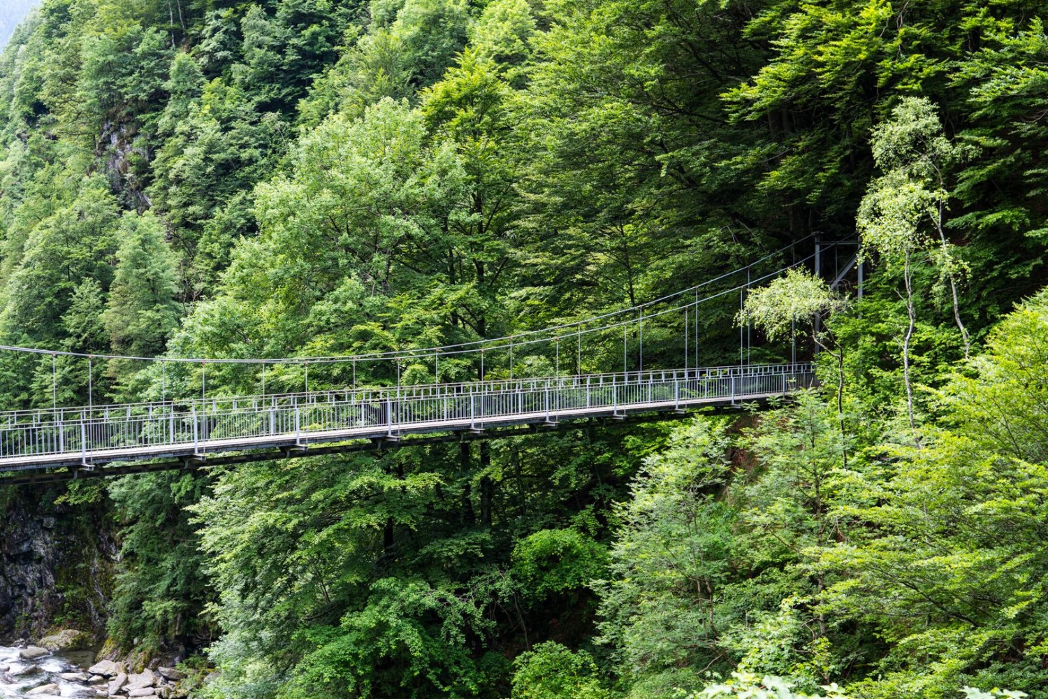 Bei der La-Culetina-Hängebrücke wechselt man nochmals die Flussseite.