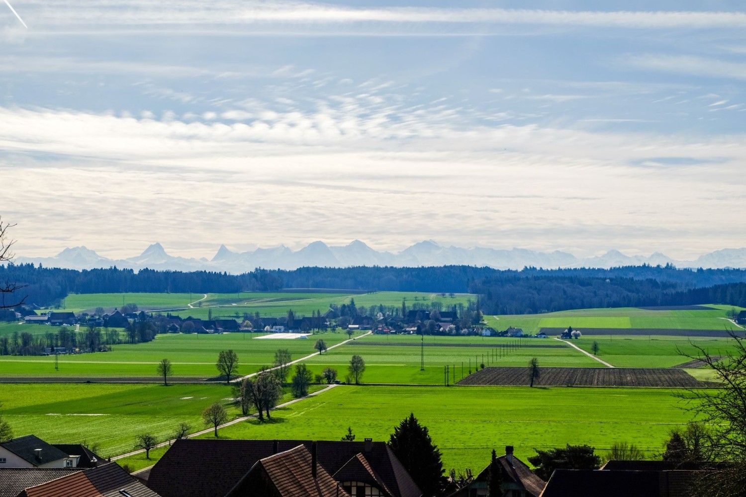 Herrliche Sicht auf das topfebene Limpachtal und die Alpen im Hintergrund.