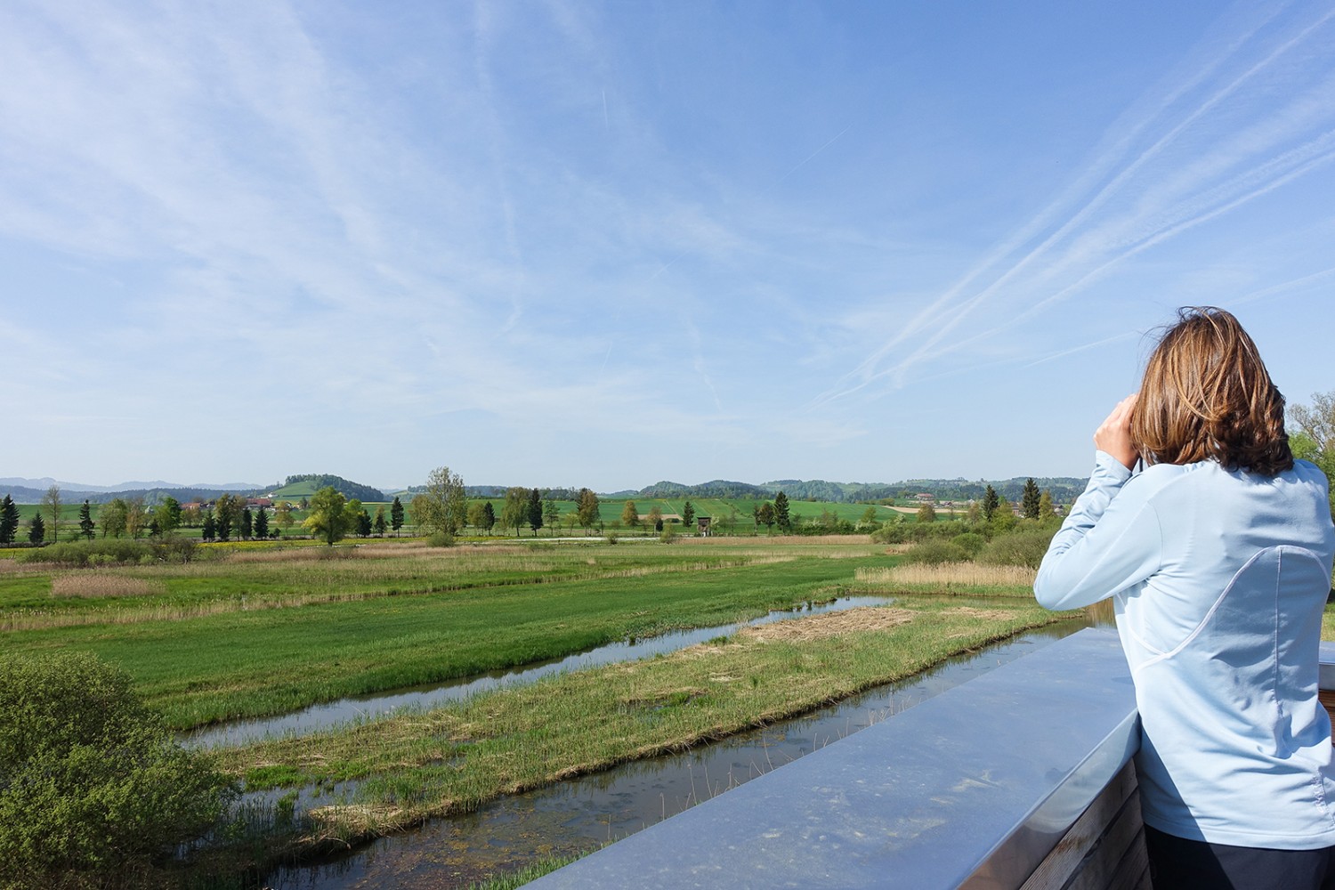 Vom Beobachtungsturm sieht man auf das Reservat Wauwilermoos hinab.
Bild: M. Zimmermann