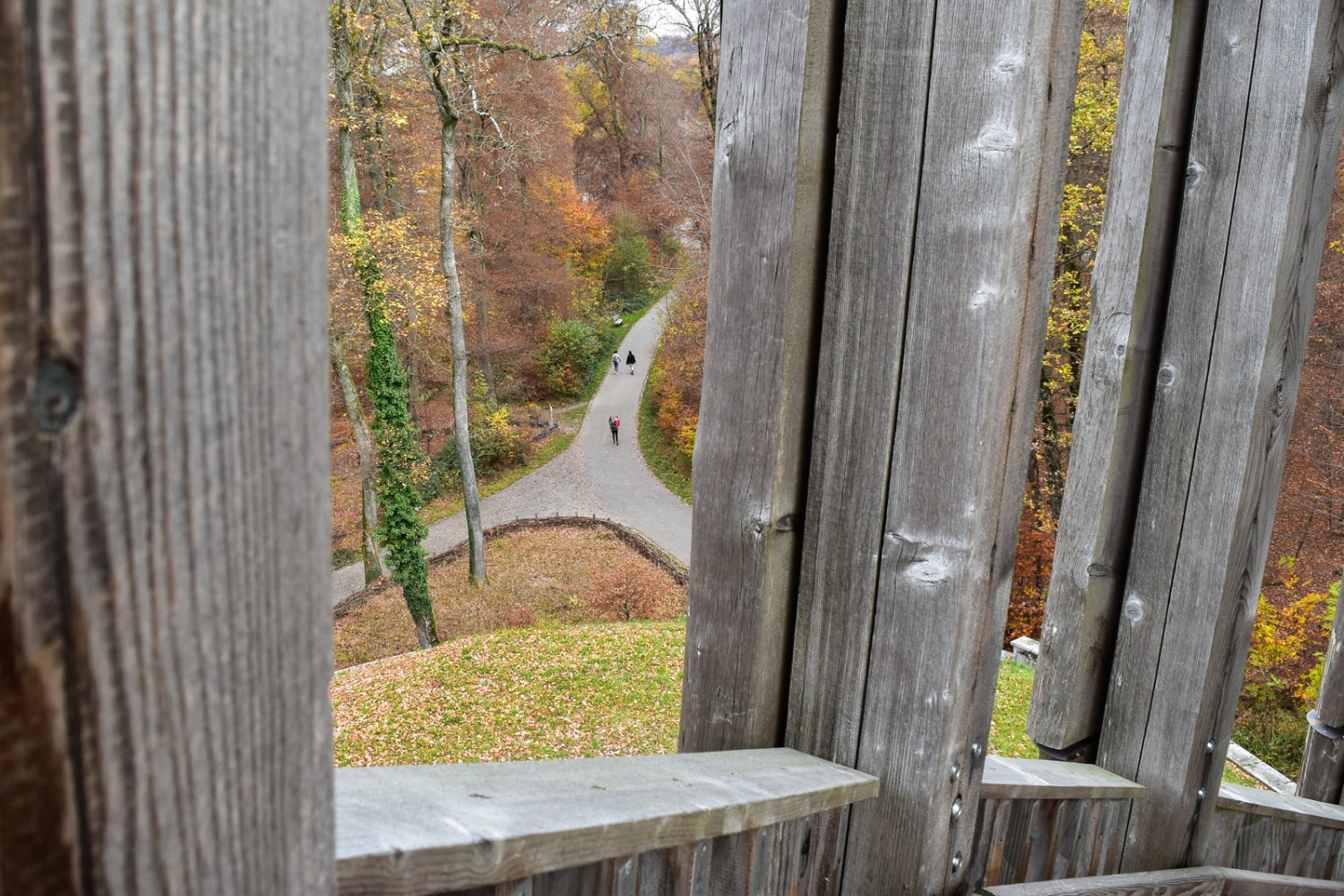 Wer die Wendeltreppe des 35 Meter hohen Holzkonstrukts überwindet, hat ein Rundumpanorama über den Park und auf die Umgebung von Lausanne. Bild: Nathalie Stöckli  