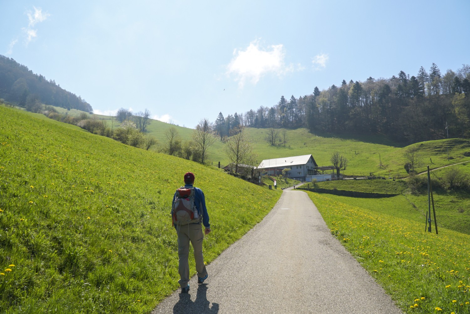 En chemin vers l’arête: début de randonnée par un temps radieux. Photo : Mia Hofmann