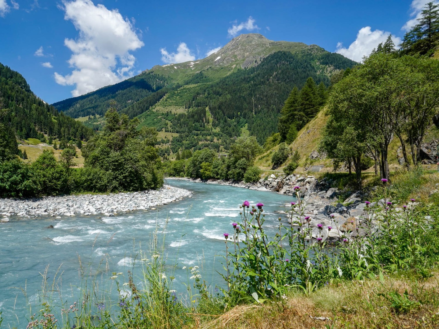 Au bord de l’Inn, peu après Susch. Photo: Fredy Joss