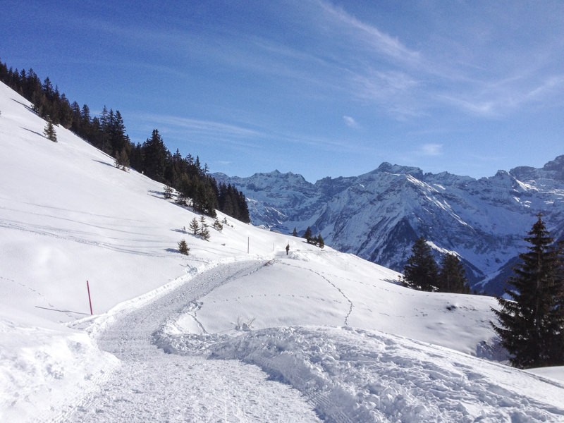 Leicht bergab geht es im letzten Wanderstück zur Bergbahn Biel-Kinzig Bild: Claudia Peter