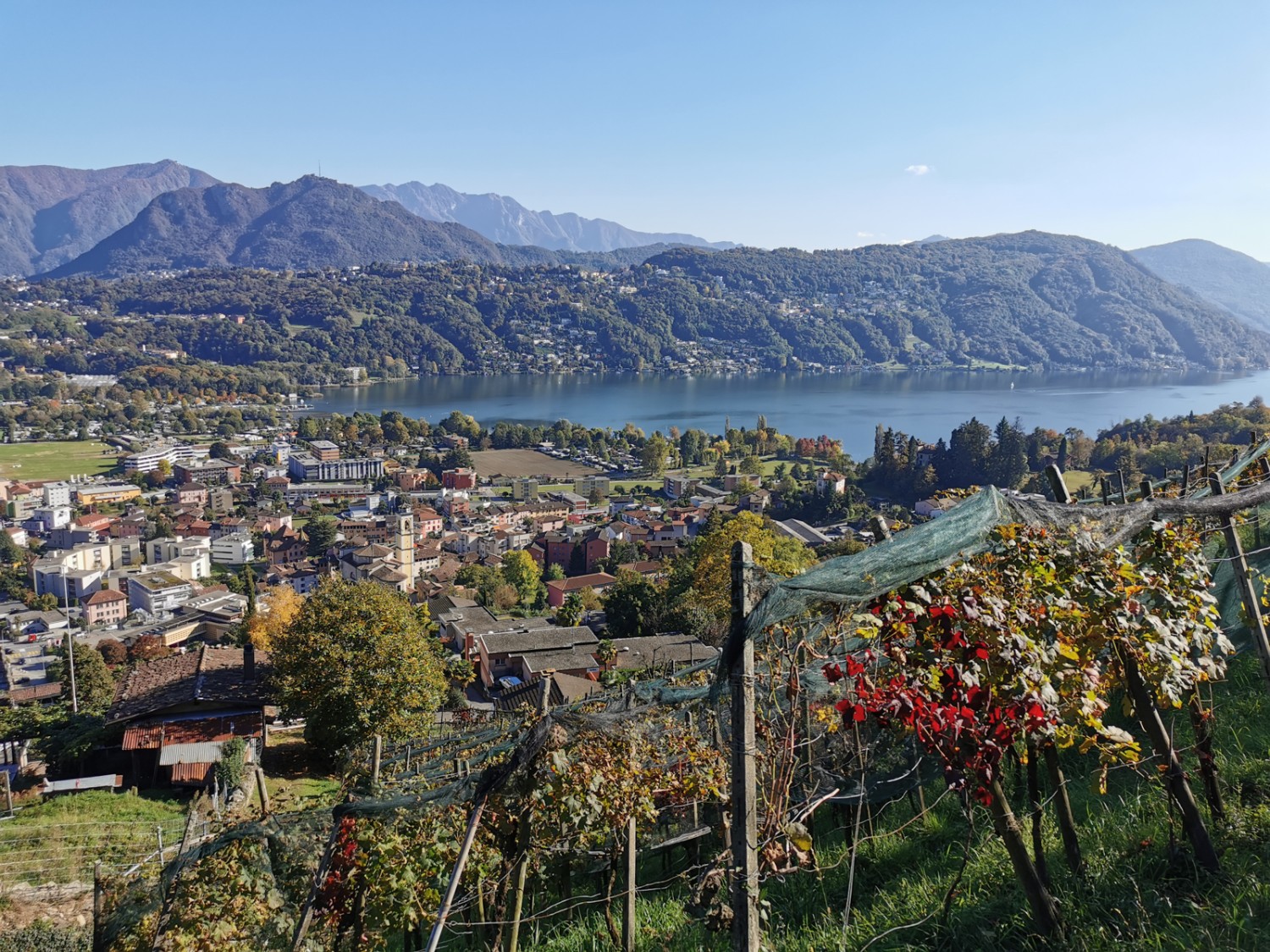 Il Malcantone è una regione molto rurale, ma a due passi dalla civiltà.
Immagine: Andreas Staeger