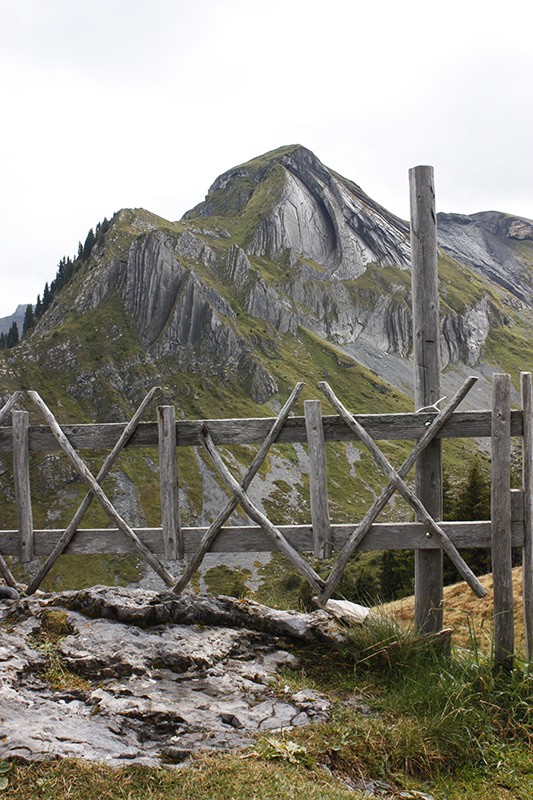 On distingue un cœur retourné dans le flanc de l’Ars. Photo: Anne-Sophie Scholl