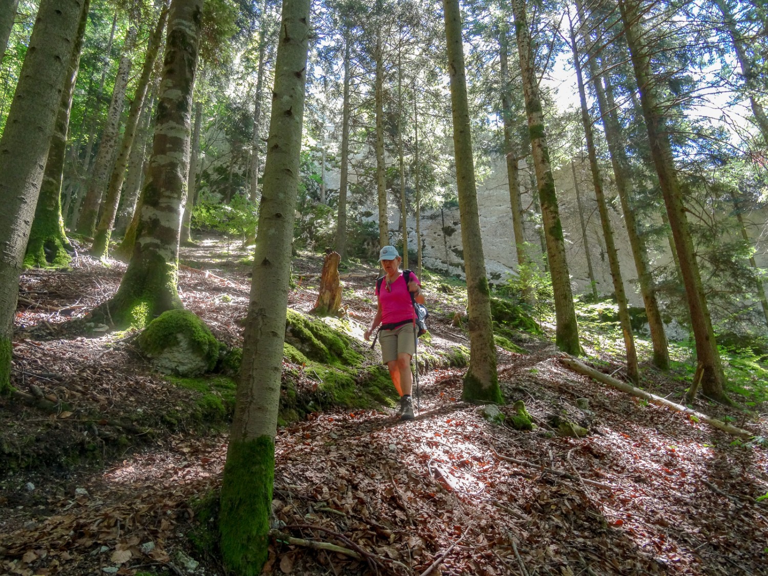 Wanderstöcke sind empfohlen. In Spitzkehren geht es hier steil nach unten. Bild: Vera In-Albon 