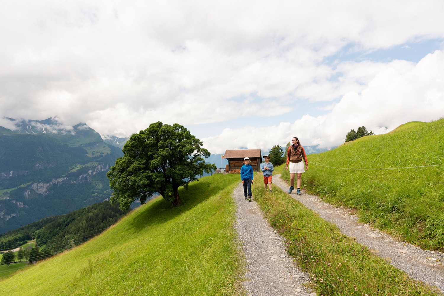 Aussichtsreich zieht sich der Weg dem Hang entlang. Bild: Raja Läubli