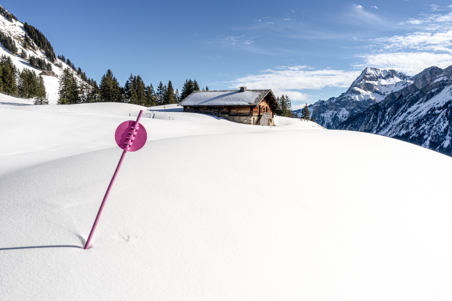 Le chalet d’alpage du Rard et le Spitzhorn en arrière-plan. Photo: Fredy Joss