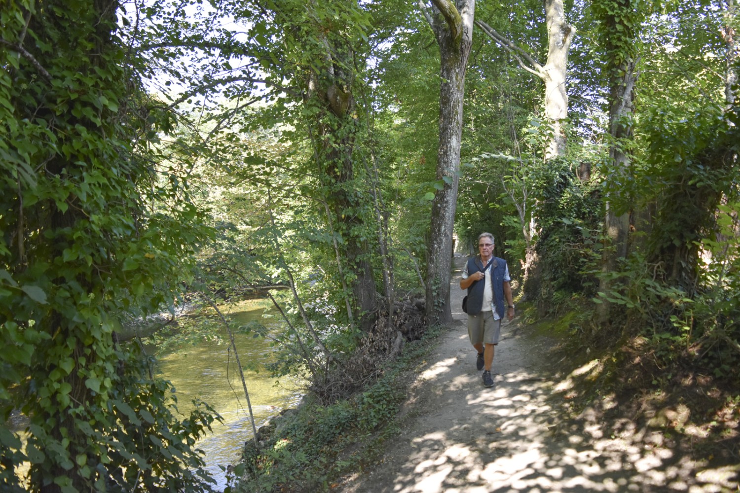 Le chemin ombragé longe l’Areuse. Photo: Nathalie Stöckli