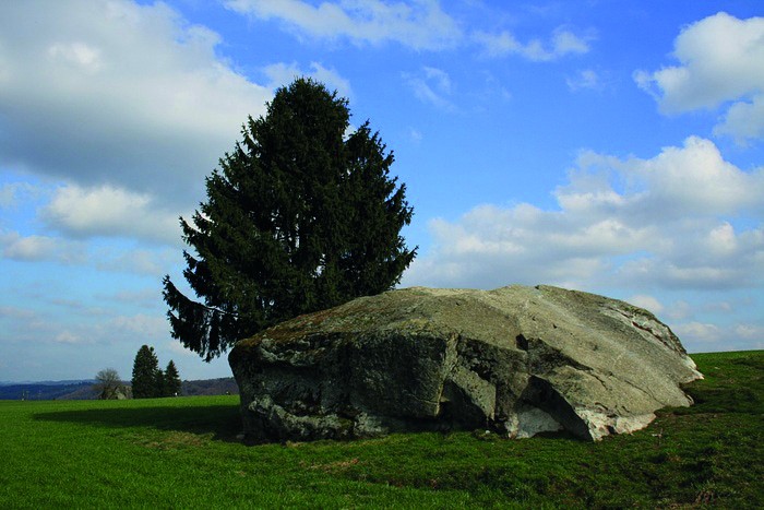 Dieser Finding mit dem Namen Kleine Fluh ist auf dem Steinhof zu sehen. 