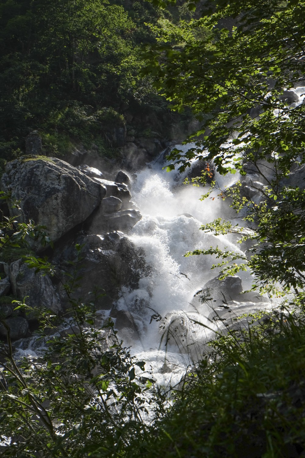 La vallée sauvage de l’Erstfeldertal. Les eaux sont également sauvages: ici, l’Alpbach. Photo: Elsbeth Flüeler