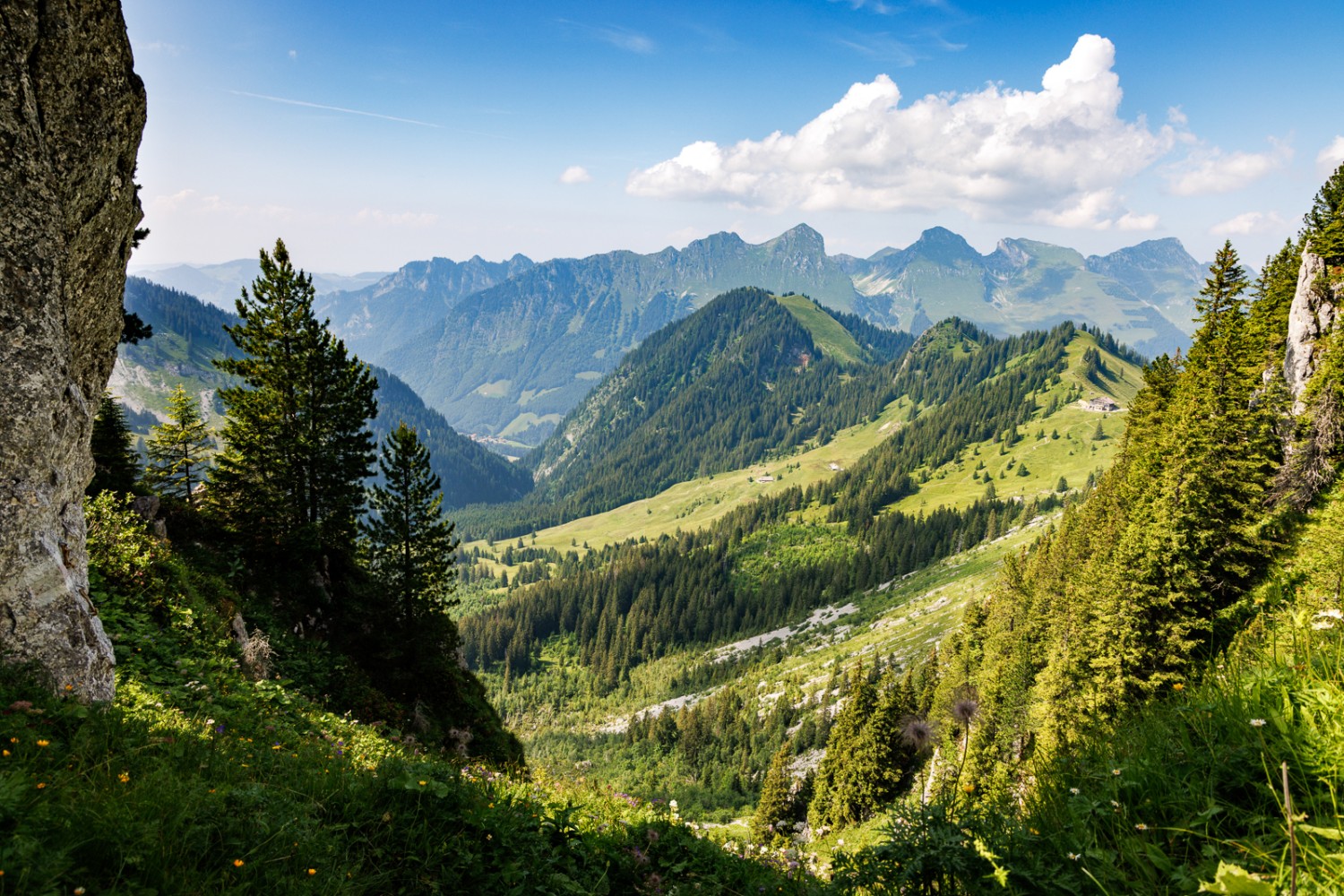 Depuis Wolfs Ort, la vue porte au loin sur les sommets préalpins. Photo: Severin Nowacki