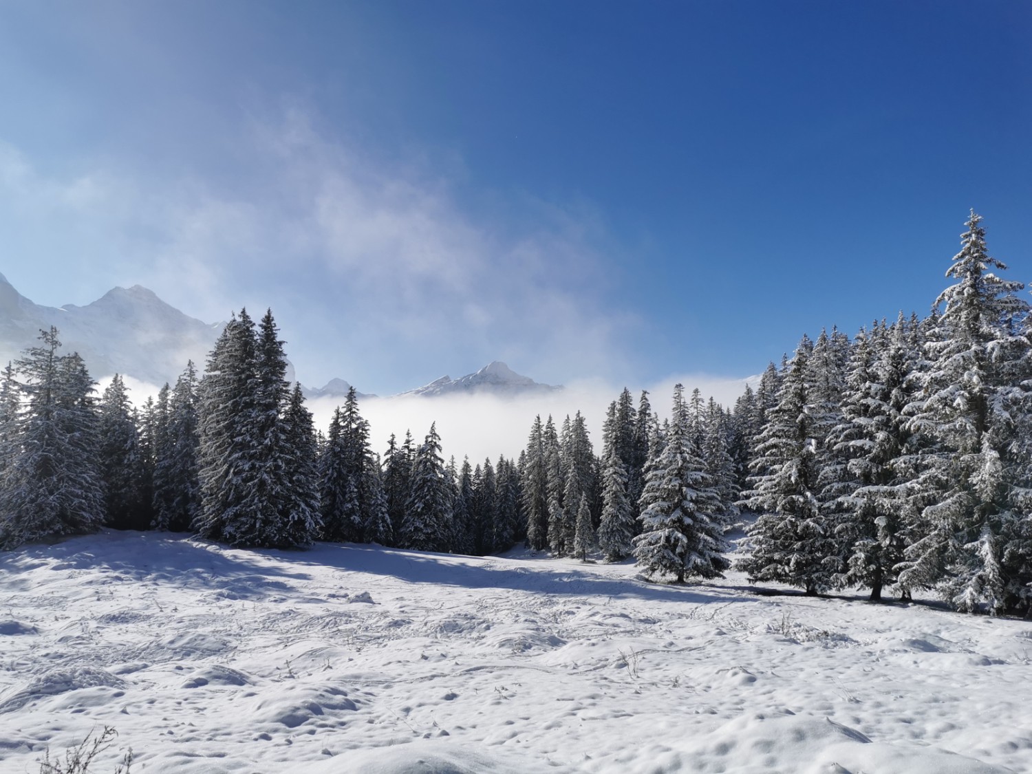 Entre Holzmattenläger et Holewang.