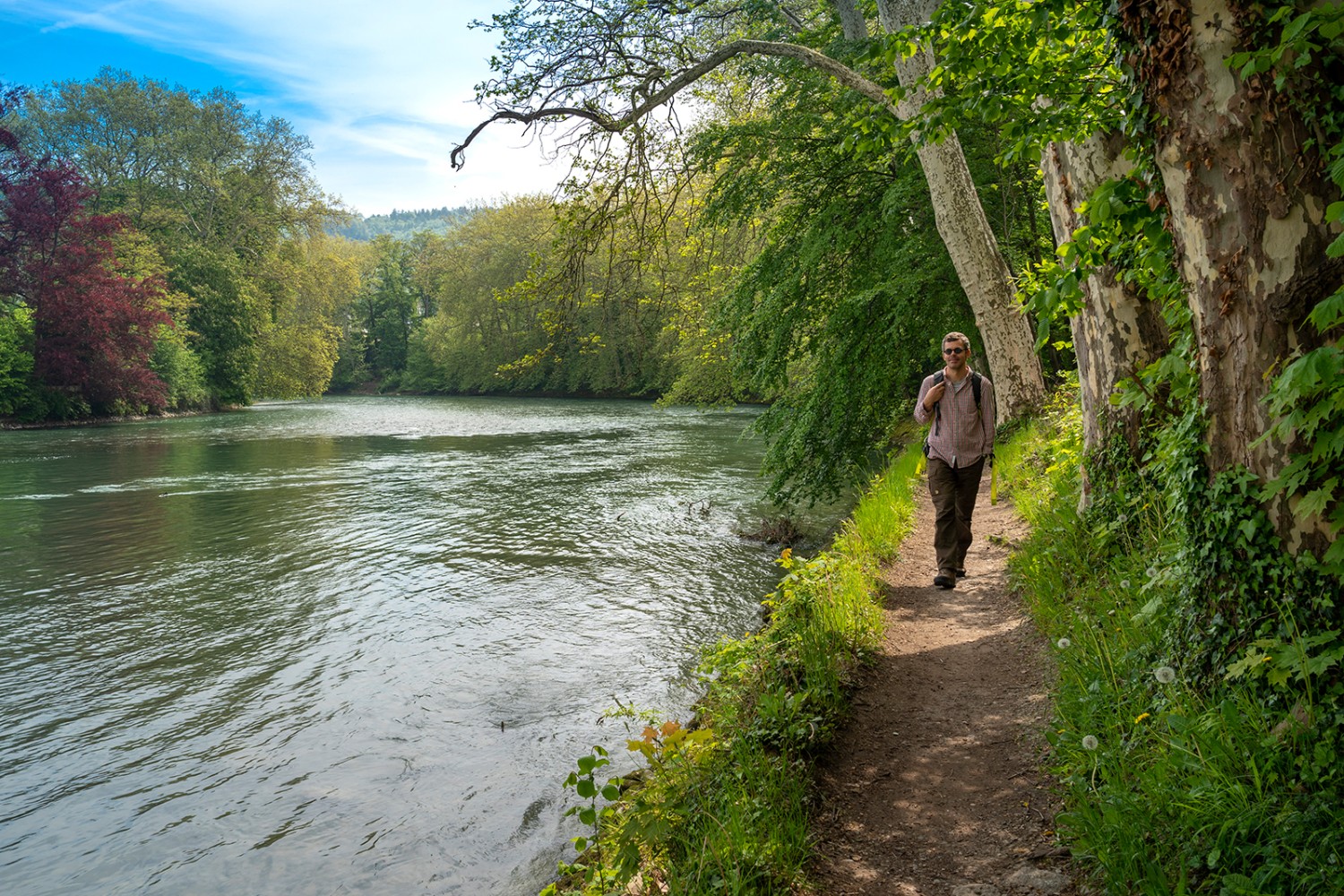 Kurz vor dem Zusammenfluss von Reuss und Aare bei Windisch führt der Wanderweg direkt dem Wasser entlang.
Bilder: Severin Nowacki