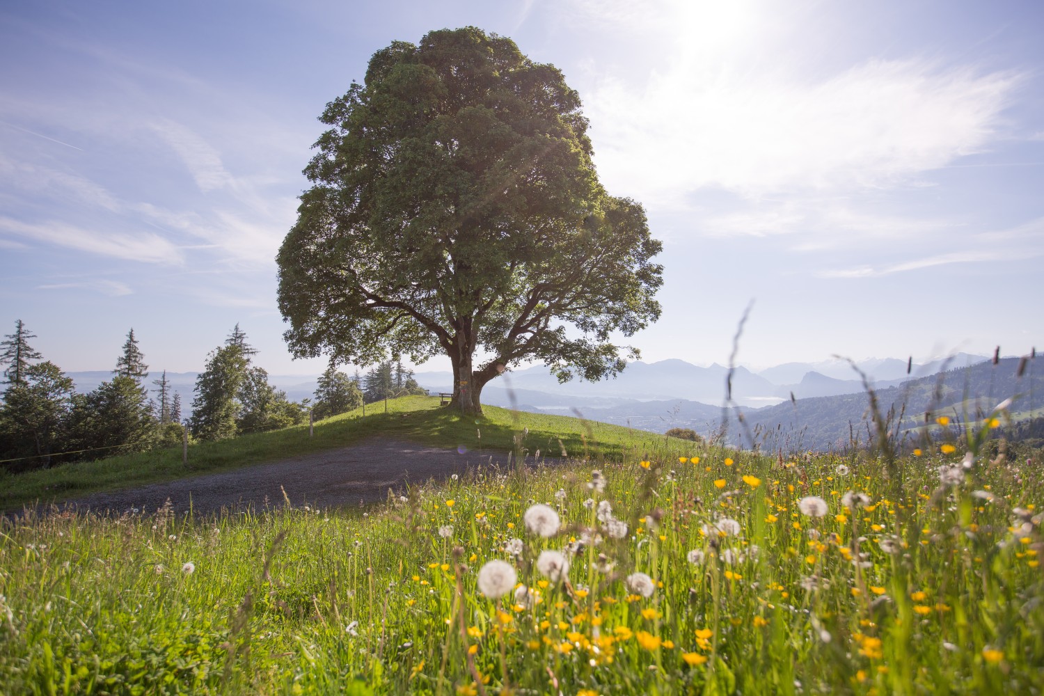 Sonnenberg, Luzerner Wanderwege