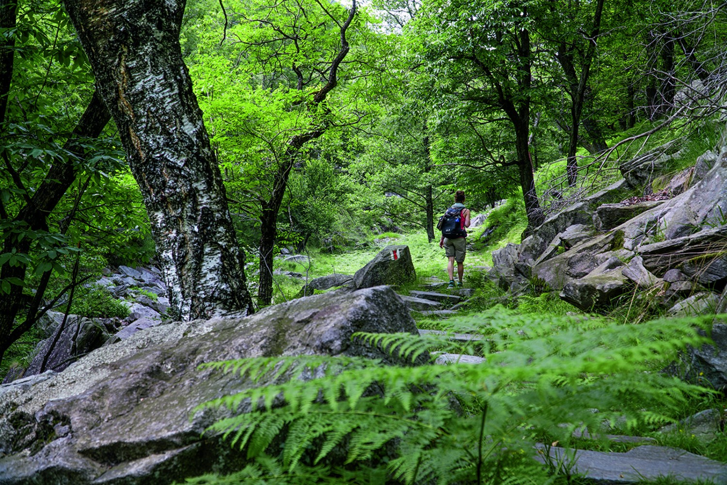 Natur pur im Tal entlang des Bachs Ri da Riei. Bilder: Mia Hofmann