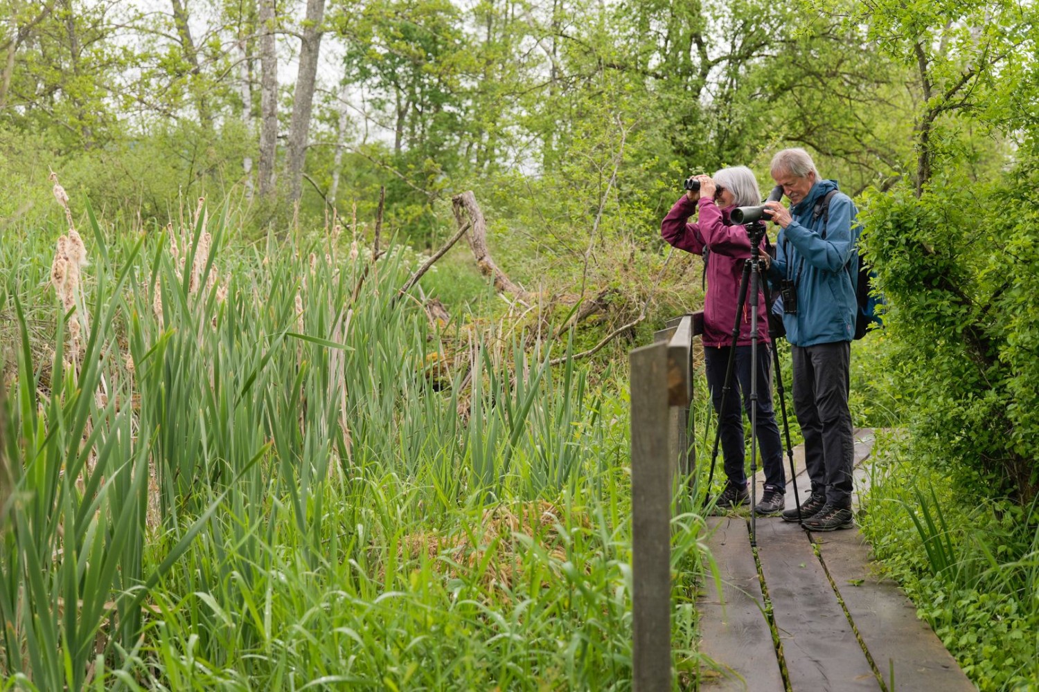 Erfolgversprechend – mehr als 170 Vogelarten wurden hier schon beobachtet.