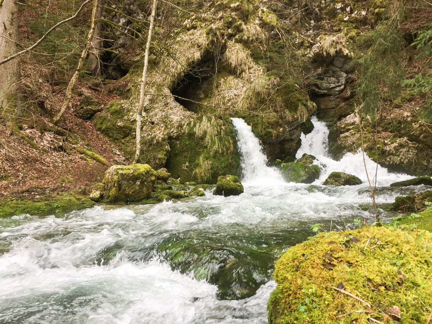 Etwas vom grossen Wasserfall entfernt tritt Wasser aus dem Fels.