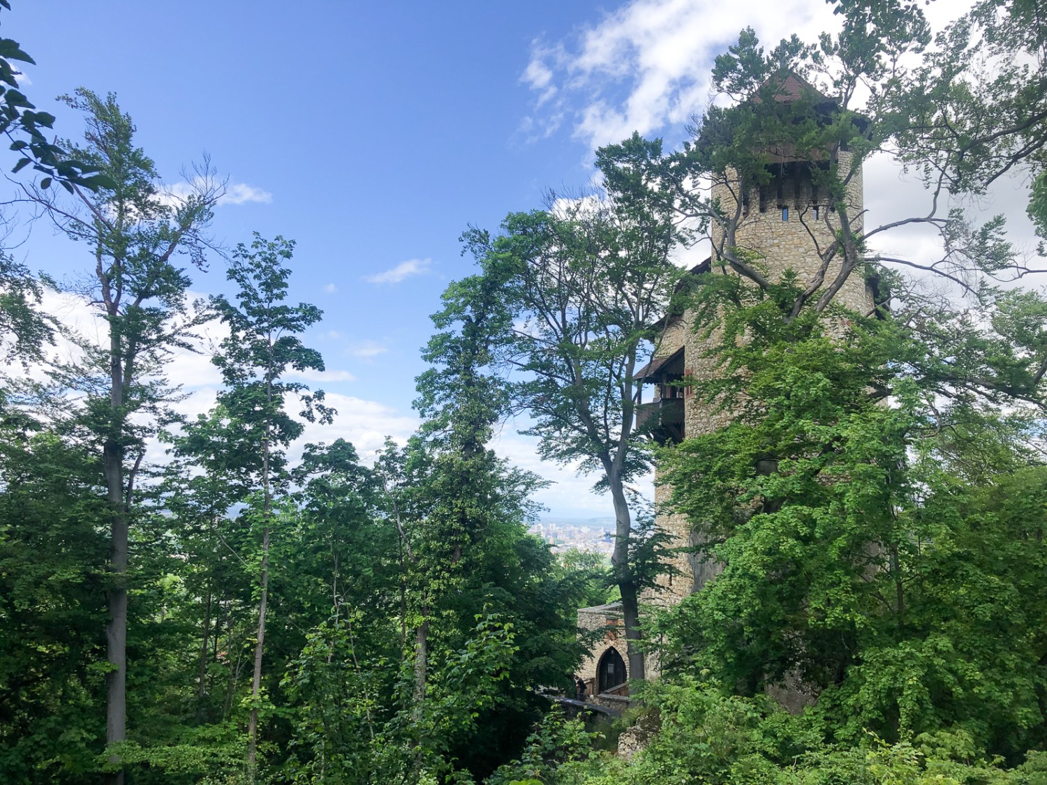 Die hochmittelalterliche Burg Reichenstein wurde um 1200 erbaut.