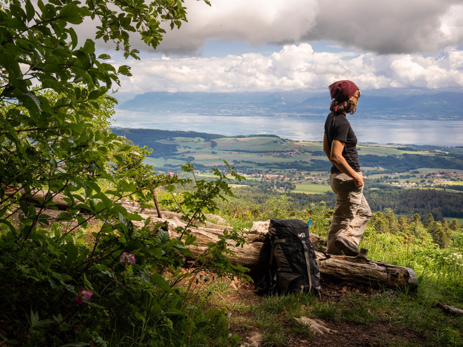 Weit schweift der Blick von der Krete bei Le Planet auf den Genfersee. Bild: Severin Nowacki