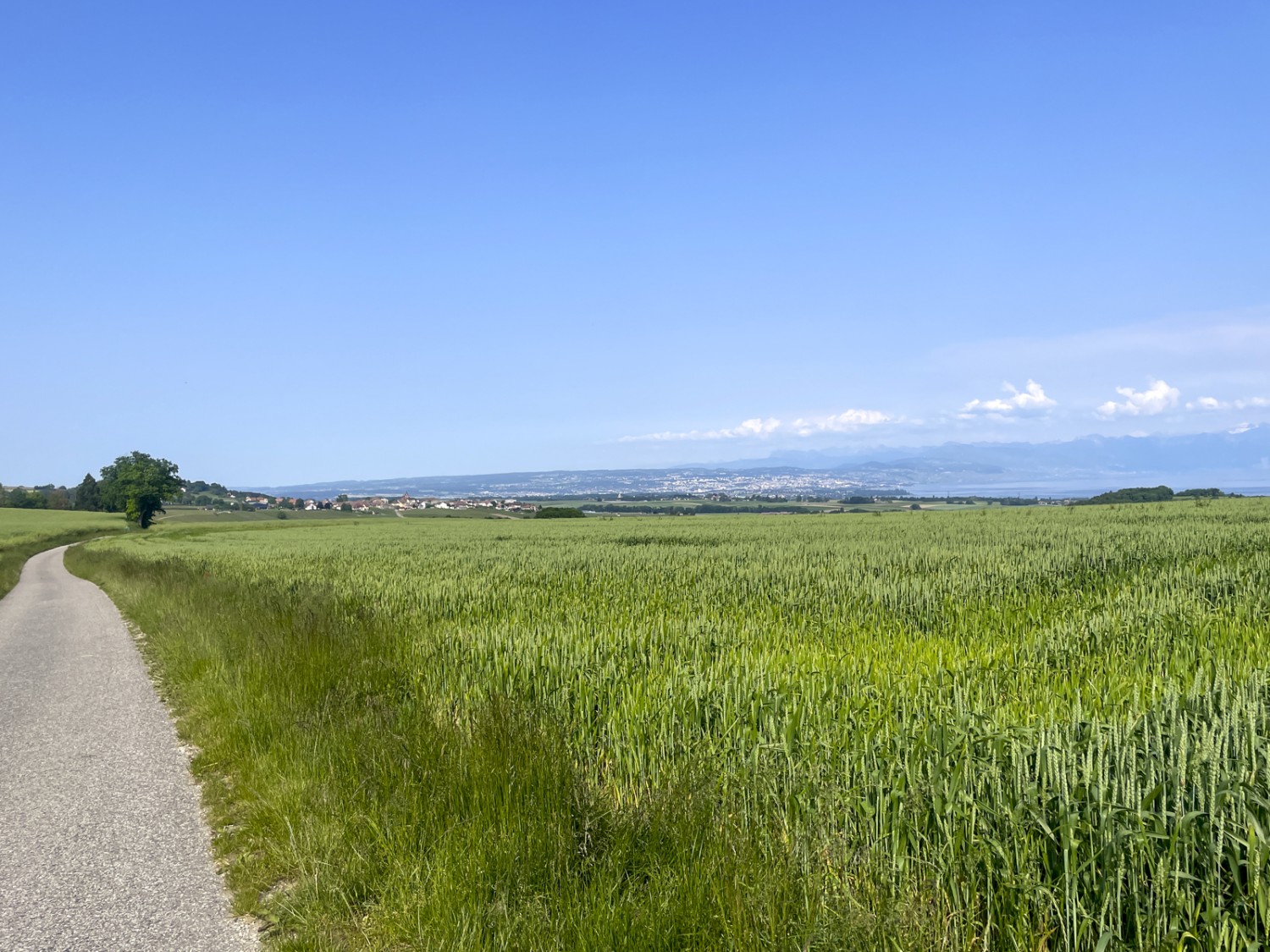 La deuxième partie de la randonnée passe surtout sur un revêtement dur à côté de champs cultivés. Photo: Vera In-Albon

