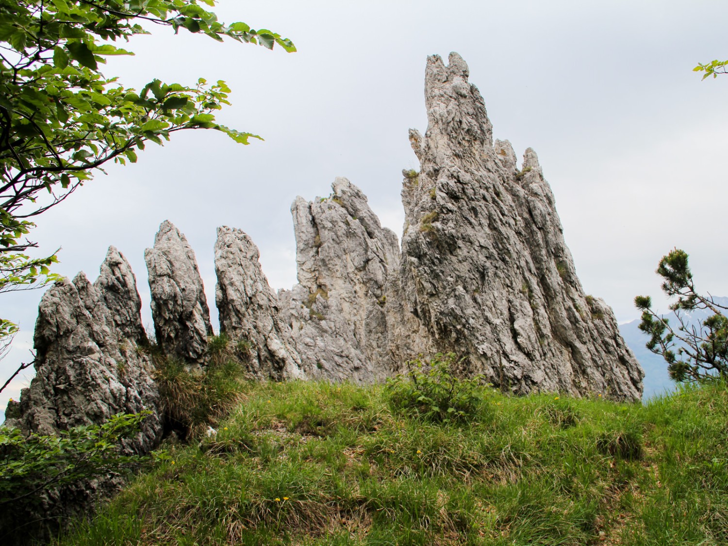 Les Dents de la Vieille, des roches dentelées. Photo: Andreas Sommer