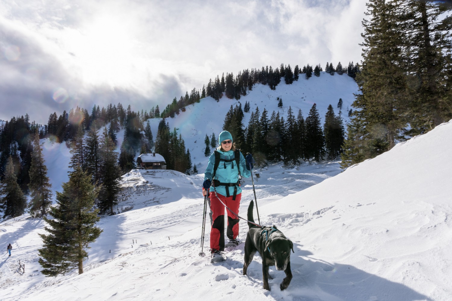 Sonne, Schnee und frische Luft tut auch Vierbeinern gut. Bild: Franz Ulrich