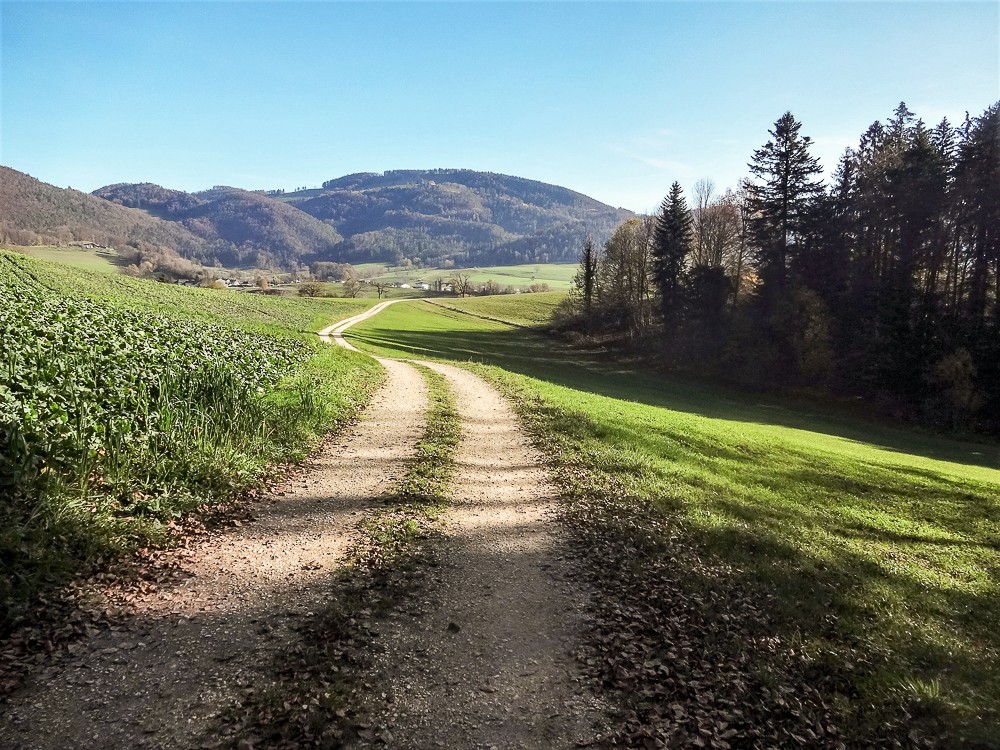 Le chemin conduit à Montsevelier. Photo: Miroslaw Halaba