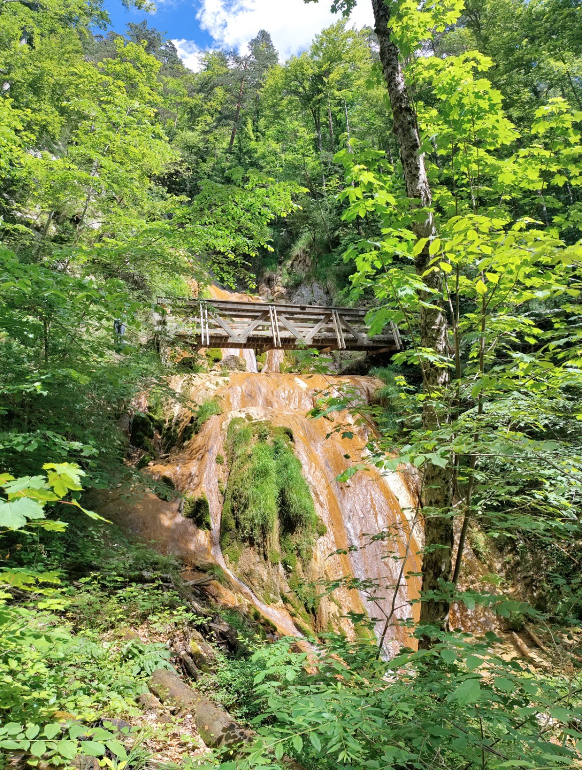 Sotto questo ponte il torrente Gore Virat precipita in modo spettacolare verso valle. Foto: Michael Dubach