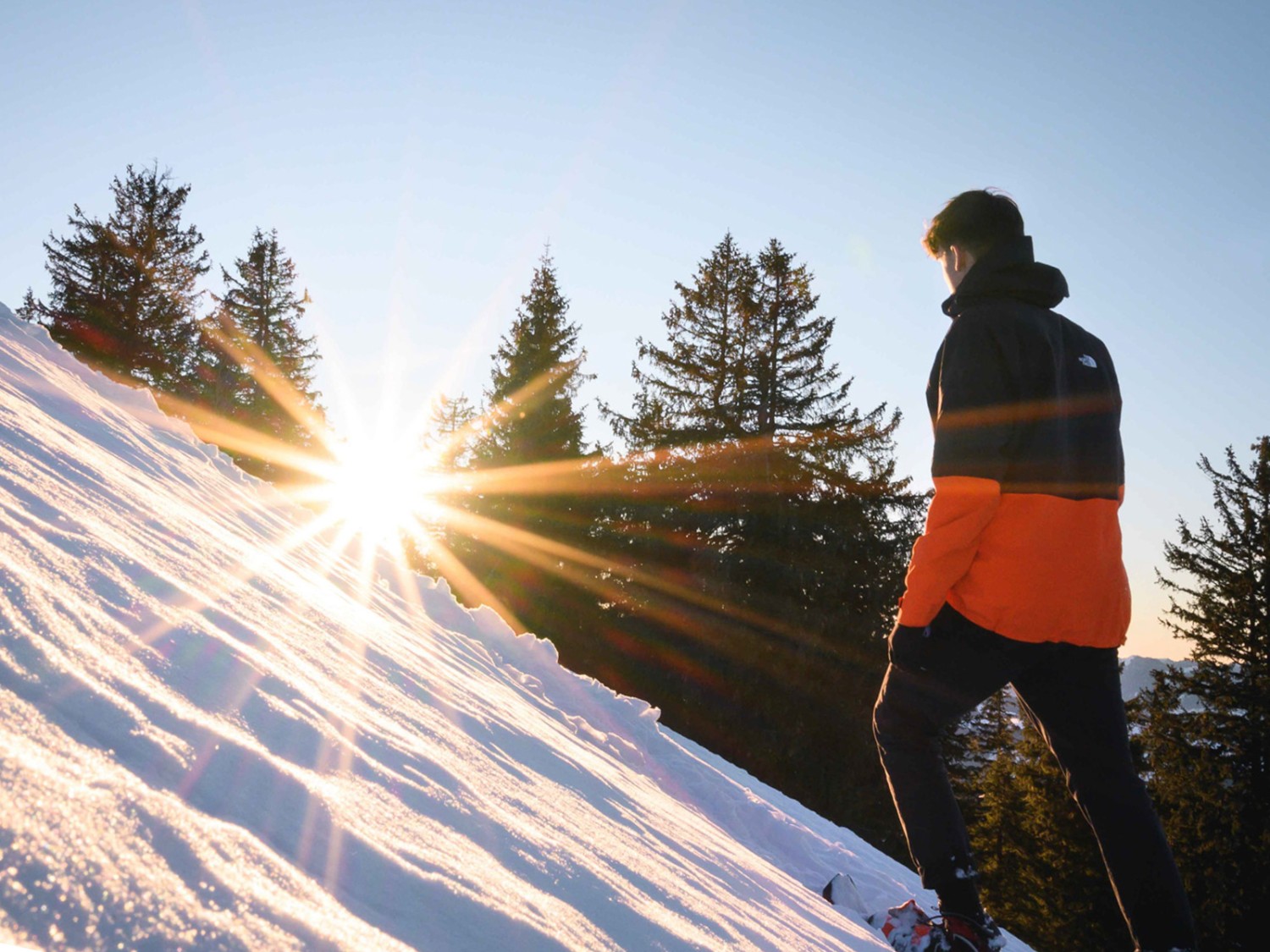 Ein lauschiges Wäldchen kurz vor dem Aufstieg zur Hochalp. Bild: Jon Guler