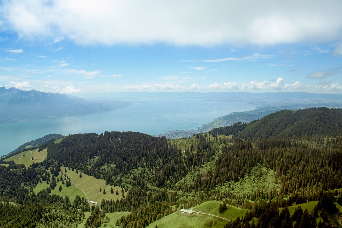 Depuis le col de Jaman, une vue à couper le souffle sur le lac Léman.